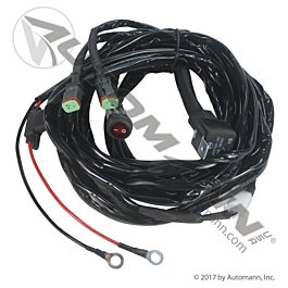 Automann 571.PT991DT2 Wiring Harness and Switch