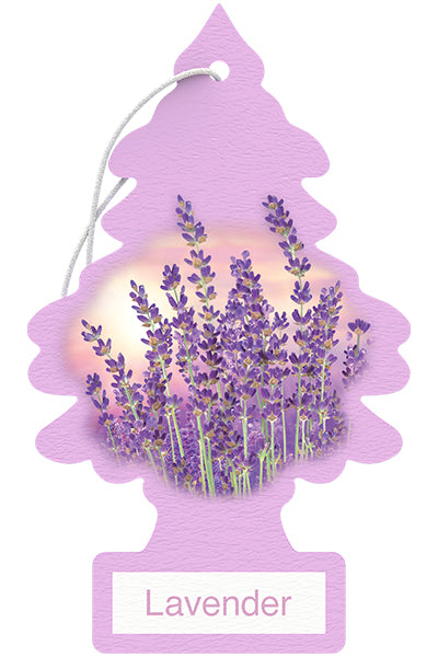 Little Trees Lavender Hanging Car Air Freshener (1-Pack) - U1P-10435