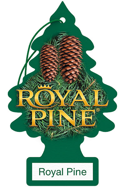 Little Trees Royal Pine Hanging Car Air Freshener (1-Pack) - U1P-10101