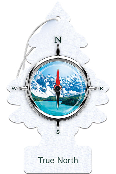Little Trees True North Hanging Car Air Freshener (1-Pack) - U1P-17146