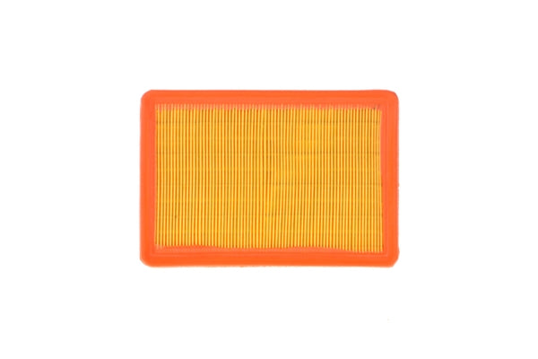 Air Filter 5395