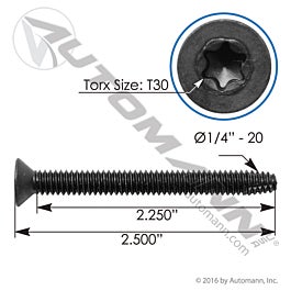 Automann Trailer Floor Screw 1/4inX2-1/2in 100 pk - FS14212