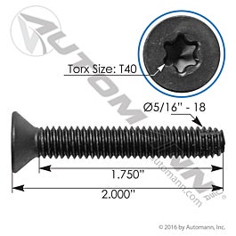 Automann Trailer Floor Screw 5/16in X 2in 100 pk - FS516200