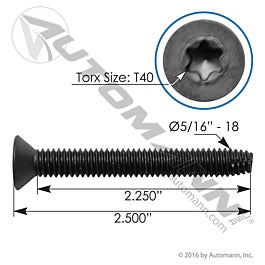 Automann Trailer Floor Screw 5/16inX2-1/2in 100pk - FS516212