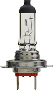 IMP BULB H7